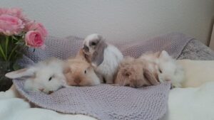 IMG-20230308-WA0120